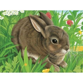 Puzzle In Cutie Animale, 12 Piese Ravensburger - 1